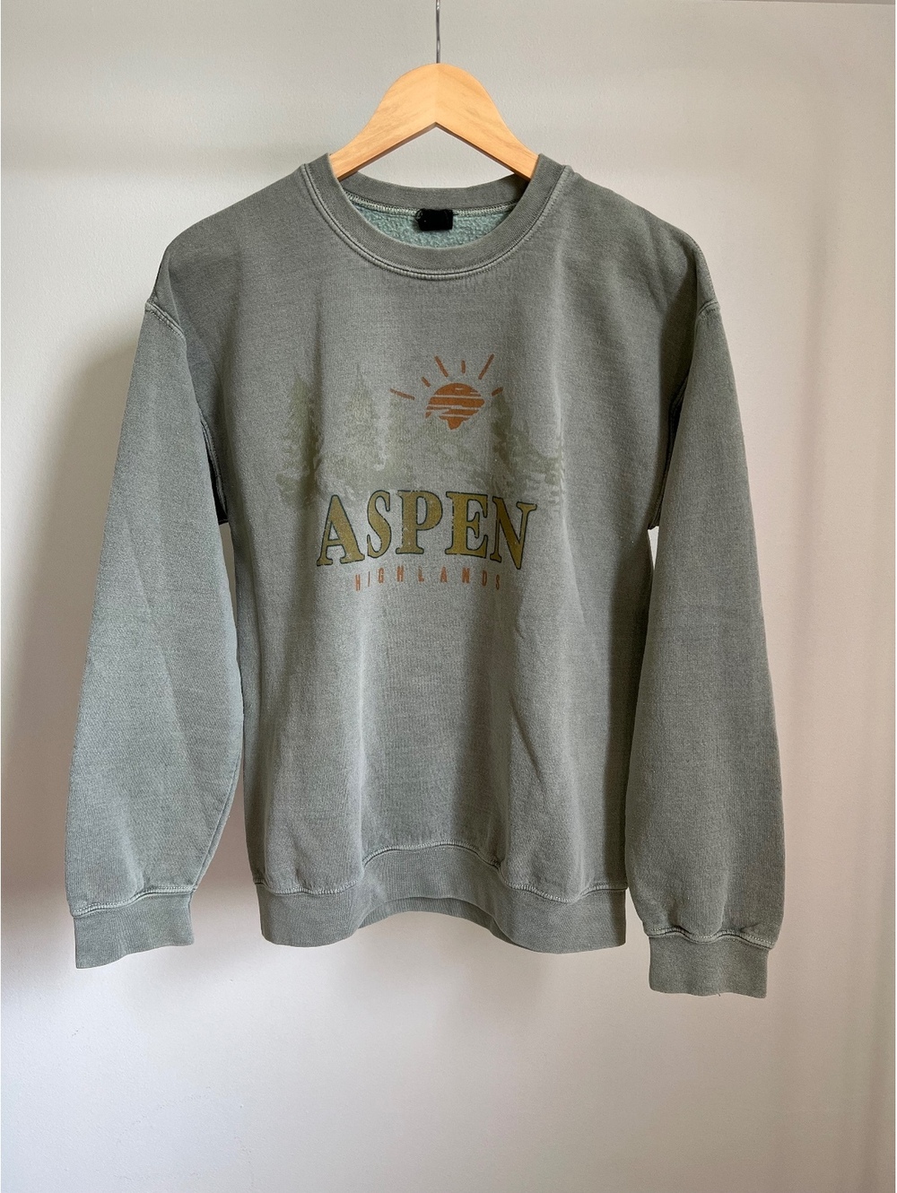Urban Outfitters Aspen Highlands Sweatshirt Medium Faded Graphic Crewneck